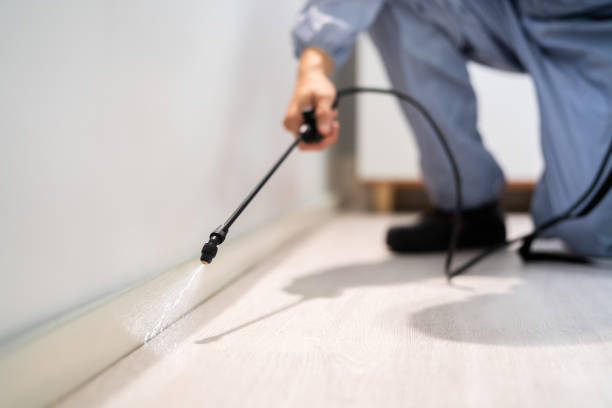 Licensed Pest Control service in Atherton, CA - Nex Pest Control