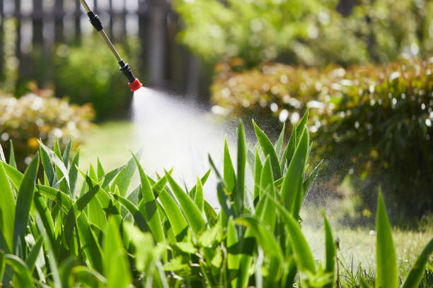 24/7 Emergency Pest Control experts in Atherton, CA